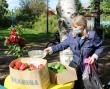 В последнее воскресенье лета в поселке Шипицыно прошла благотворительная ярмарка