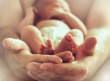 В мае 2020 года в Поморье родилось более 700 малышей